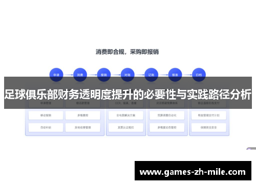 足球俱乐部财务透明度提升的必要性与实践路径分析 足球俱乐部财务透明度提升的必要性与实践路径分析